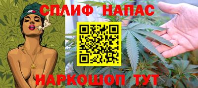 сатива Кимры