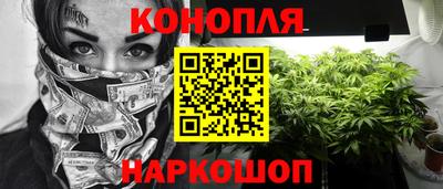 сатива Кимры