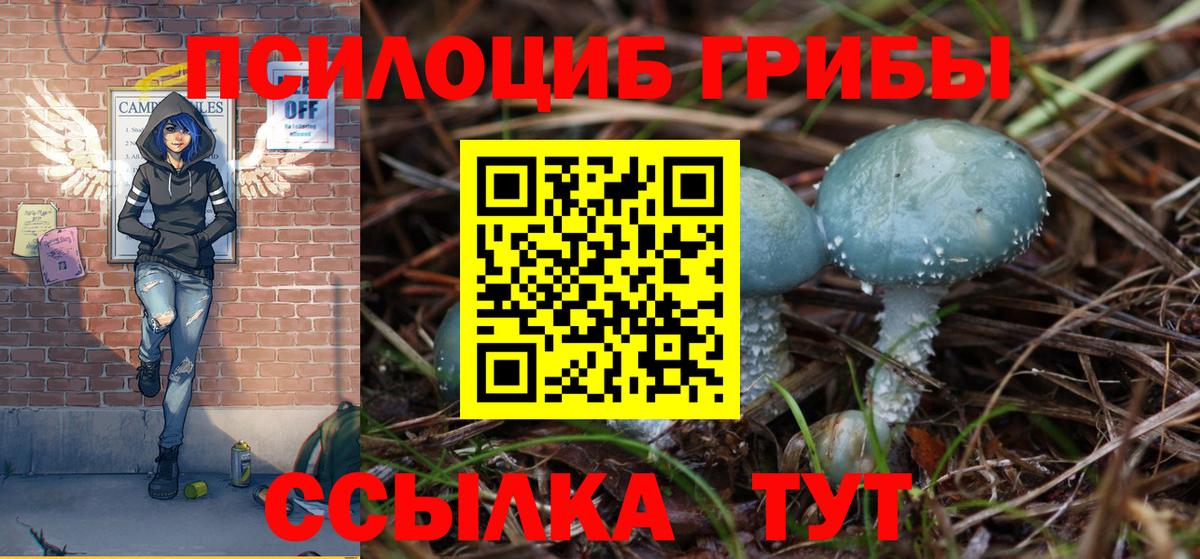 где купить   Вход с VPN  Воскресенск  Галлюциногенные грибы прущие грибы  Галлюциногенные грибы Psilocybine cubensis 